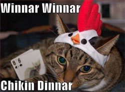 Winner winner chicken dinner